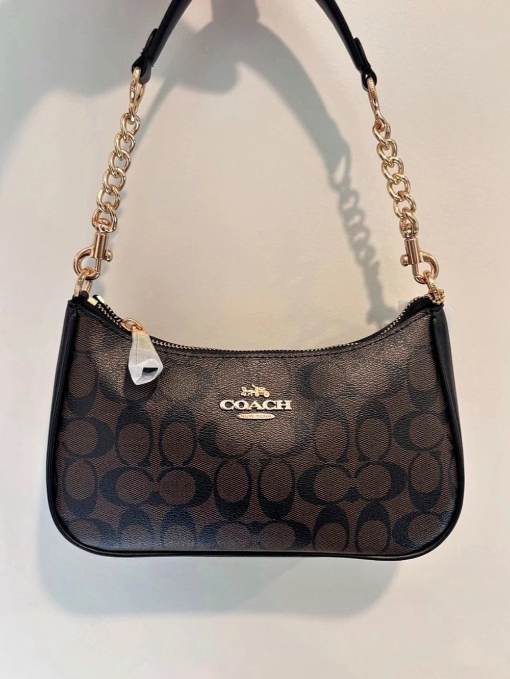 Coach Teri Shoulder Bag In Signature Canvas Brown & Black